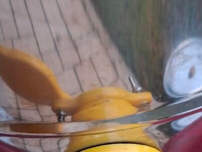 Maturateur inox 50kg