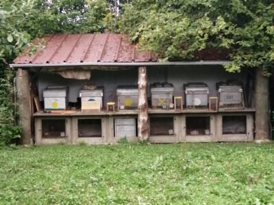 Vends 4 ruches dadant peuplées avec hausse