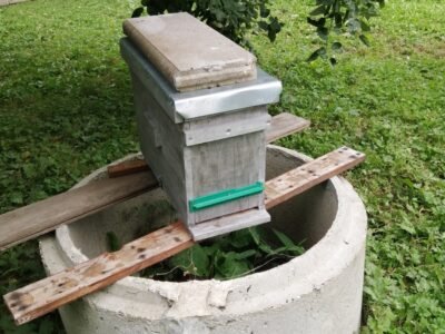 ruches et ruchette Argentan